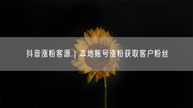 抖音涨粉客源｜本地账号涨粉获取客户粉丝