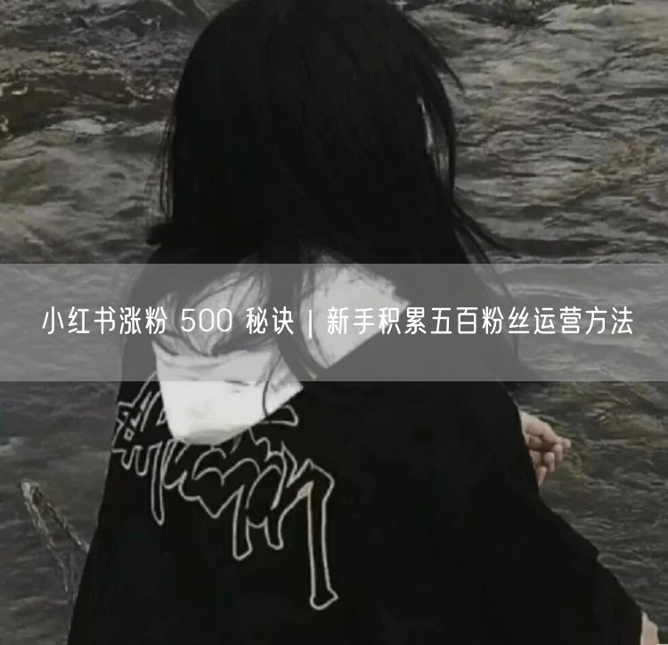 小红书涨粉 500 秘诀｜新手积累五百粉丝运营方法