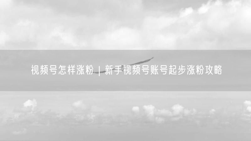 视频号怎样涨粉｜新手视频号账号起步涨粉攻略