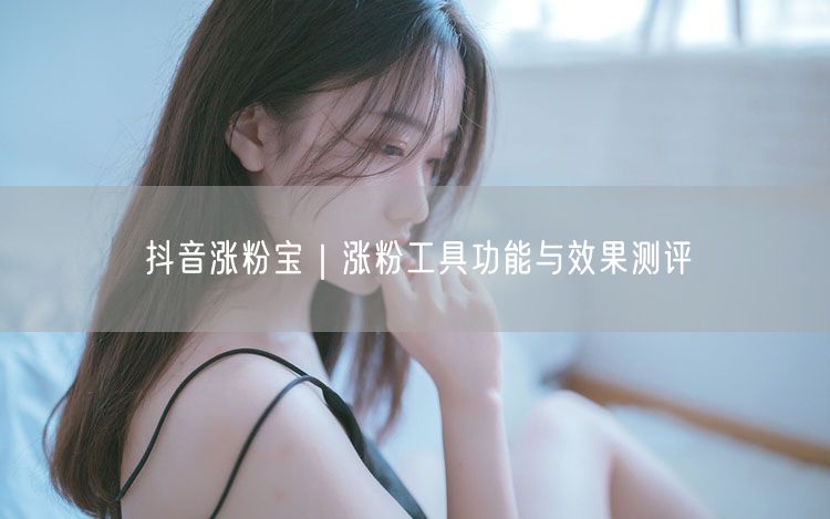 抖音涨粉宝｜涨粉工具功能与效果测评