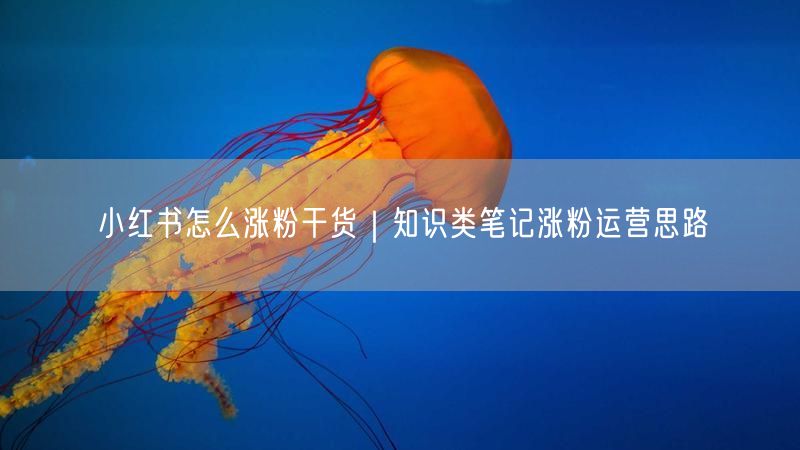 小红书怎么涨粉干货｜知识类笔记涨粉运营思路