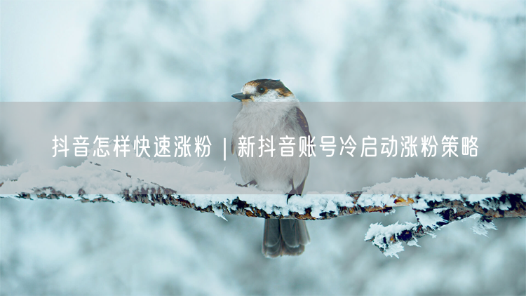 抖音怎样快速涨粉｜新抖音账号冷启动涨粉策略