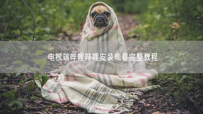 电视端哔哩哔哩安装观看完整教程