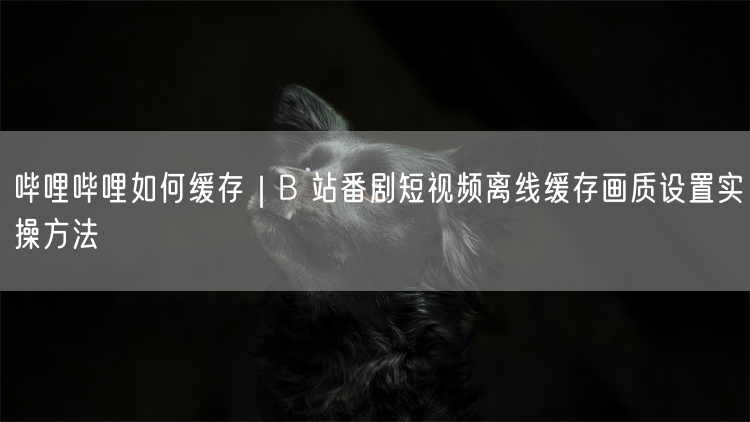 哔哩哔哩如何缓存｜B 站番剧短视频离线缓存画质设置实操方法