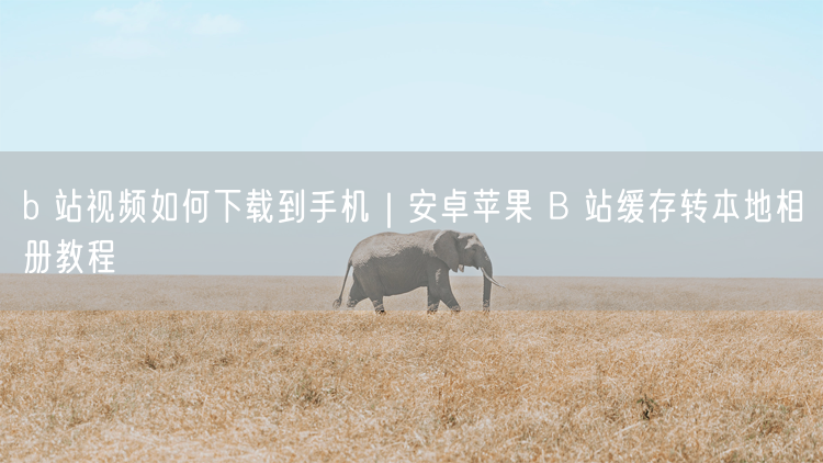 b 站视频如何下载到手机｜安卓苹果 B 站缓存转本地相册教程
