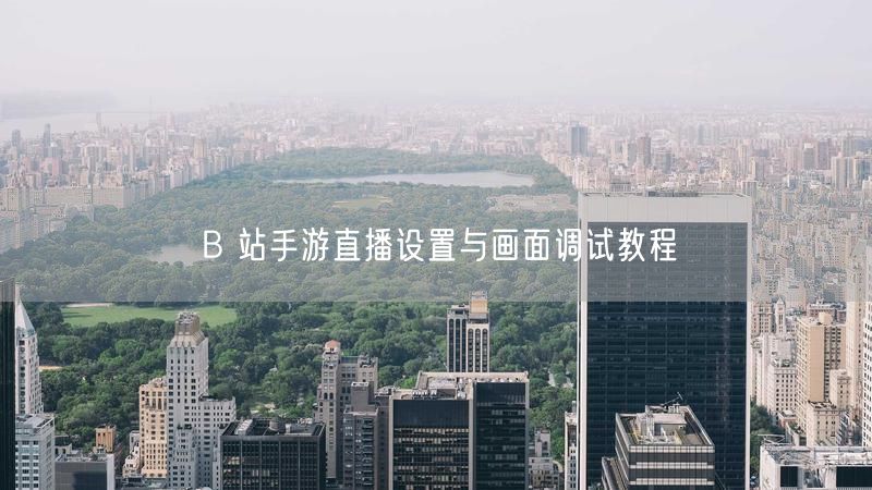 B 站手游直播设置与画面调试教程