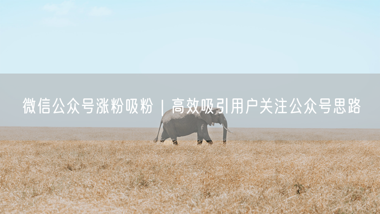 微信公众号涨粉吸粉｜高效吸引用户关注公众号思路
