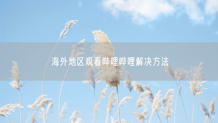 海外地区观看哔哩哔哩解决方法