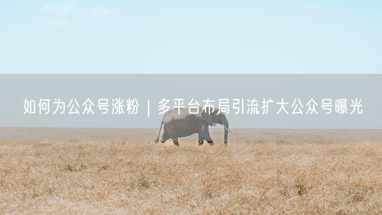 如何为公众号涨粉｜多平台布局引流扩大公众号曝光