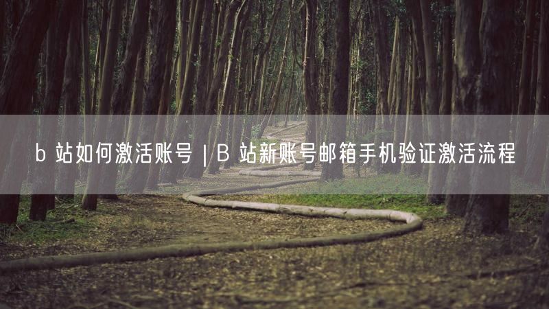 b 站如何激活账号｜B 站新账号邮箱手机验证激活流程