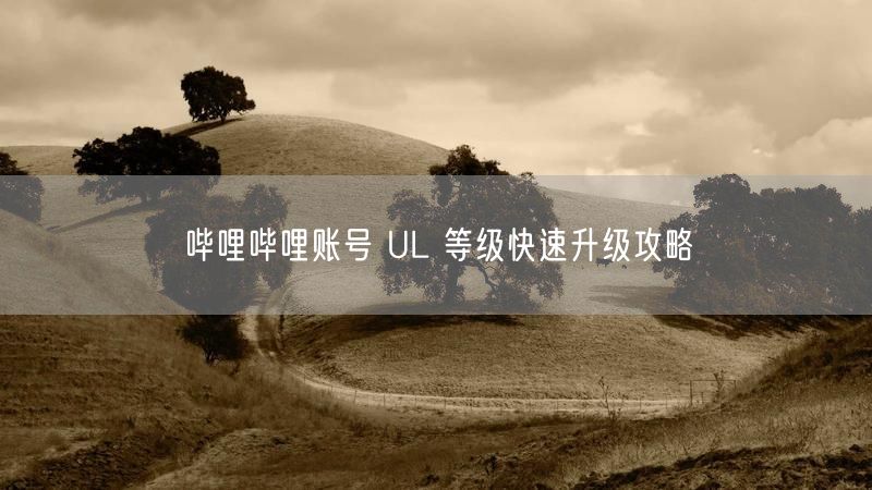 哔哩哔哩账号 UL 等级快速升级攻略