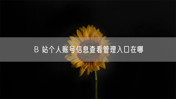 B 站个人账号信息查看管理入口在哪
