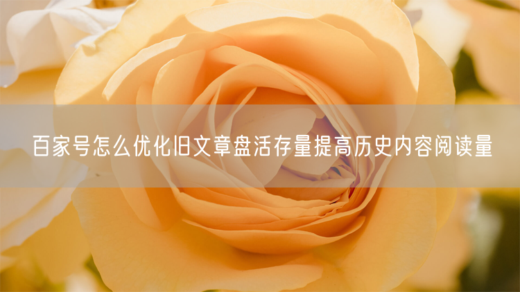 百家号怎么优化旧文章盘活存量提高历史内容阅读量