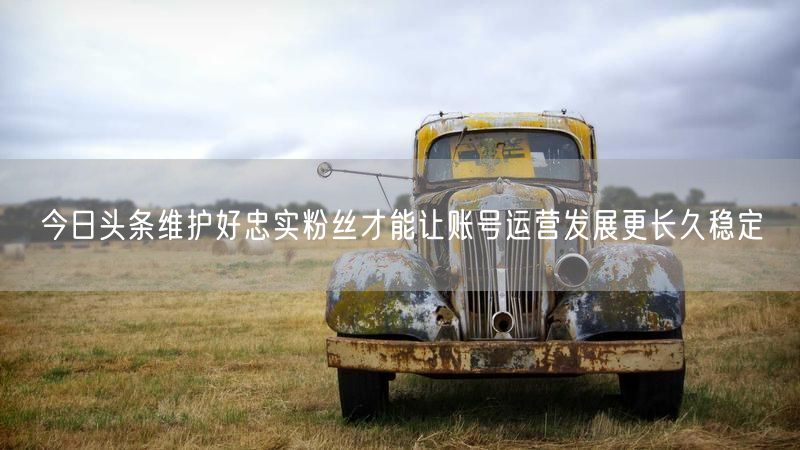 今日头条维护好忠实粉丝才能让账号运营发展更长久稳定