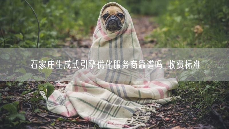 石家庄生成式引擎优化服务商靠谱吗_收费标准