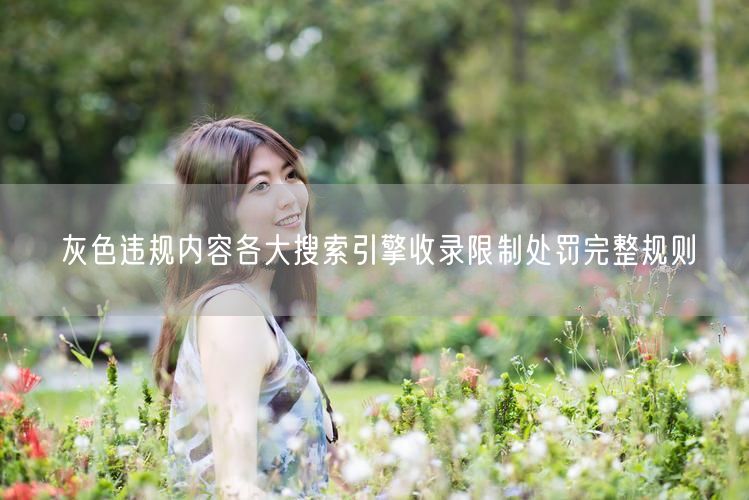 灰色违规内容各大搜索引擎收录限制处罚完整规则