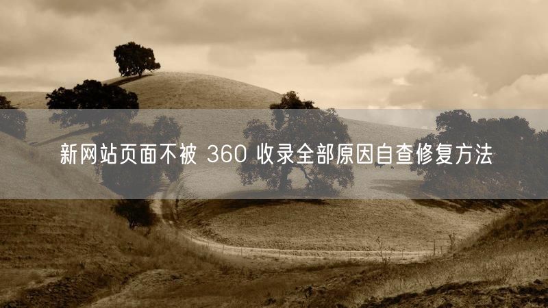新网站页面不被 360 收录全部原因自查修复方法