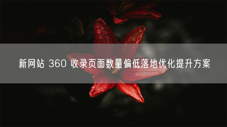 新网站 360 收录页面数量偏低落地优化提升方案