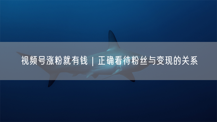 视频号涨粉就有钱｜正确看待粉丝与变现的关系