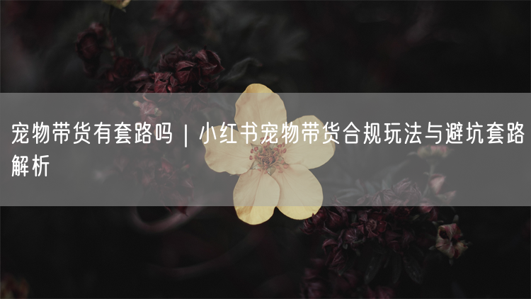 宠物带货有套路吗｜小红书宠物带货合规玩法与避坑套路解析