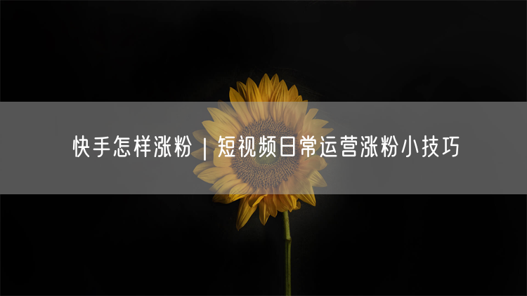 快手怎样涨粉｜短视频日常运营涨粉小技巧