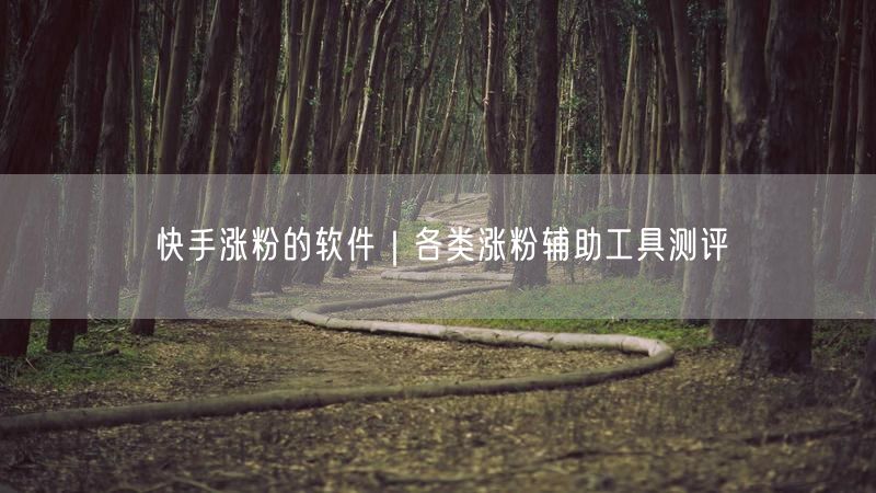 快手涨粉的软件｜各类涨粉辅助工具测评
