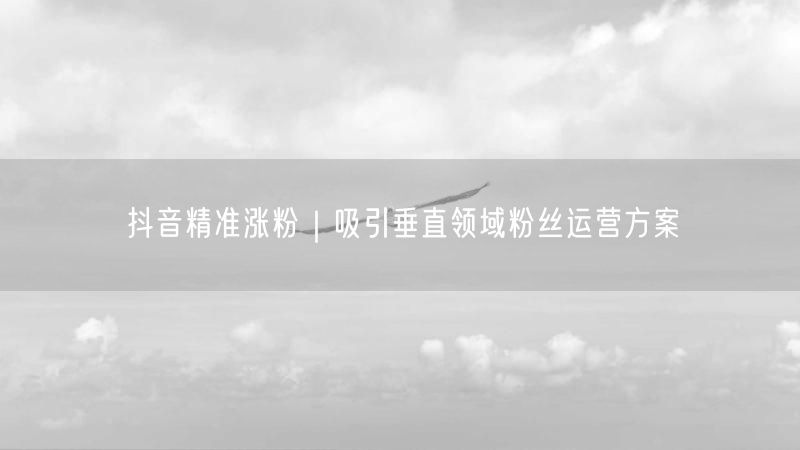 抖音精准涨粉｜吸引垂直领域粉丝运营方案