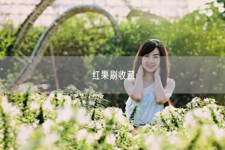 红果刷收藏
