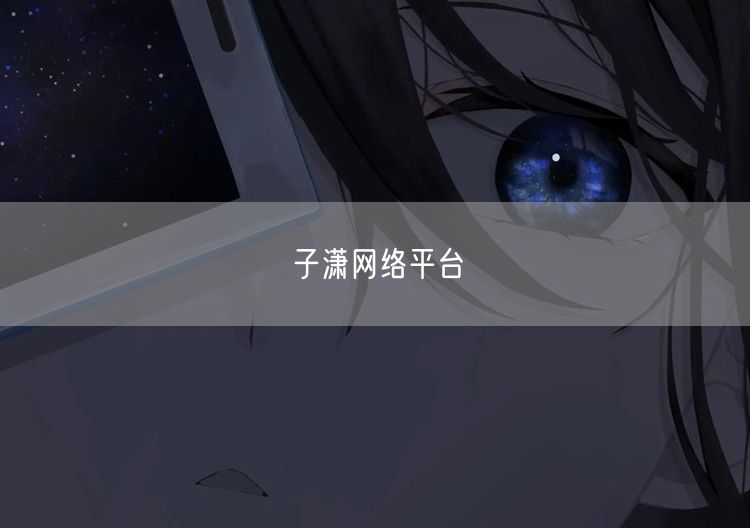 子潇网络平台