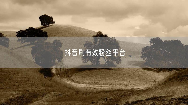 抖音刷有效粉丝平台