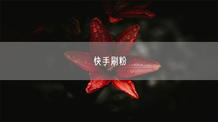 快手刷粉