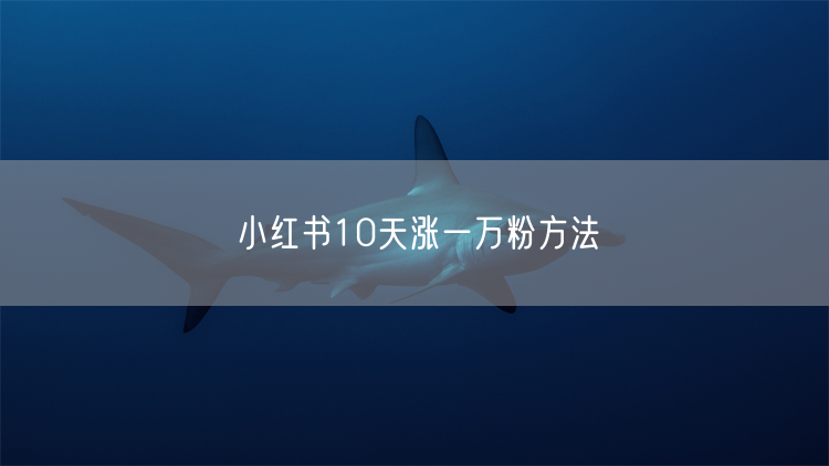 小红书10天涨一万粉方法