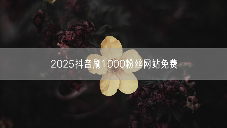 2025抖音刷1000粉丝网站免费