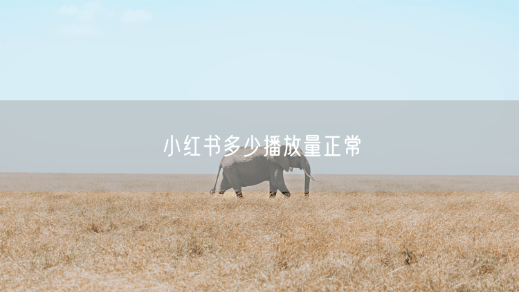 小红书多少播放量正常