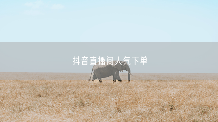 抖音直播间人气下单