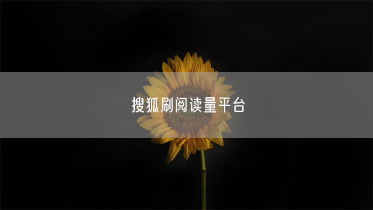 搜狐刷阅读量平台