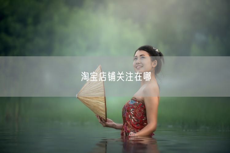 淘宝店铺关注在哪