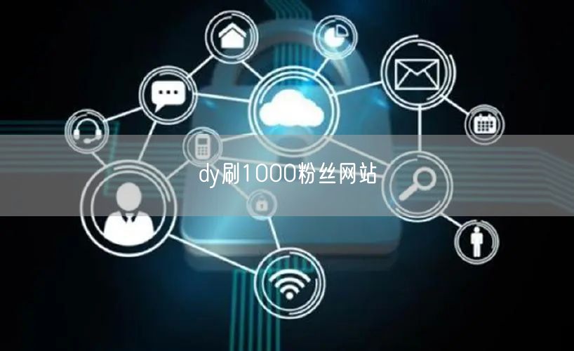dy刷1000粉丝网站