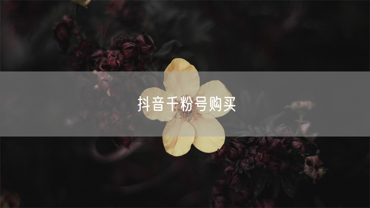 抖音千粉号购买