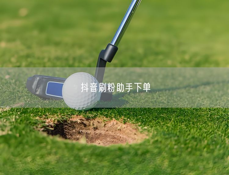 抖音刷粉助手下单