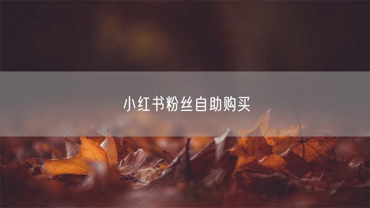 小红书粉丝自助购买