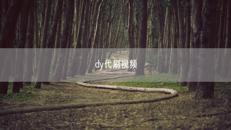 dy代刷视频