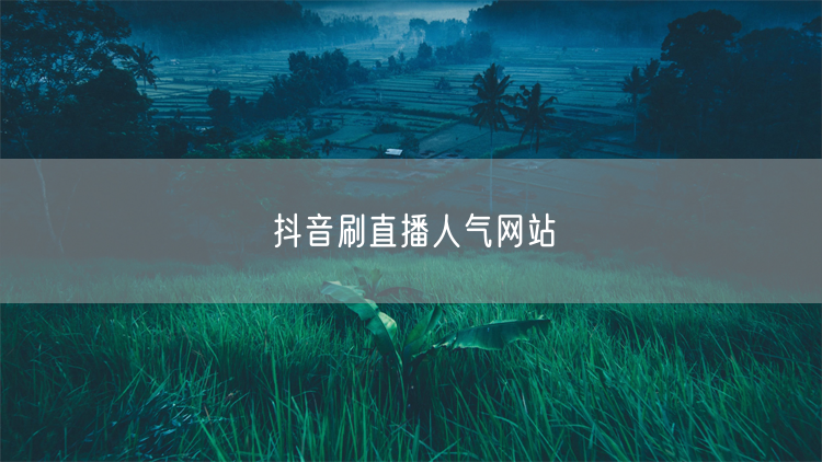 抖音刷直播人气网站