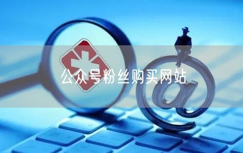 公众号粉丝购买网站