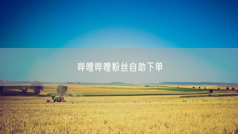 哔哩哔哩粉丝自助下单