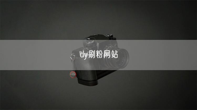 dy刷粉网站