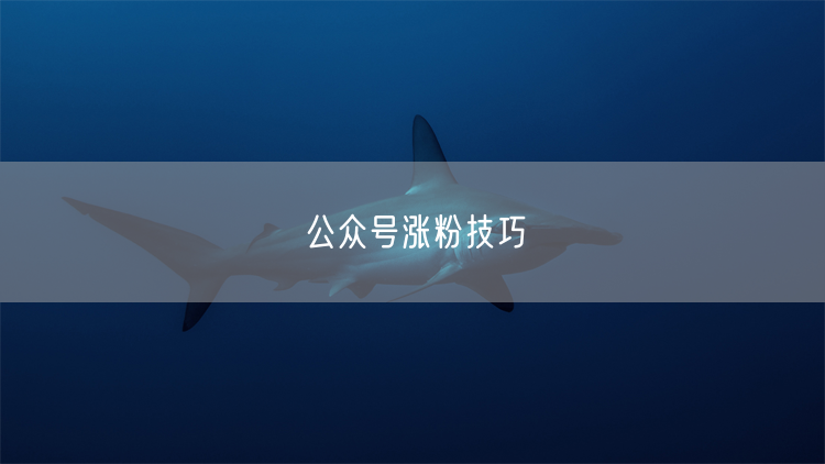 公众号涨粉技巧