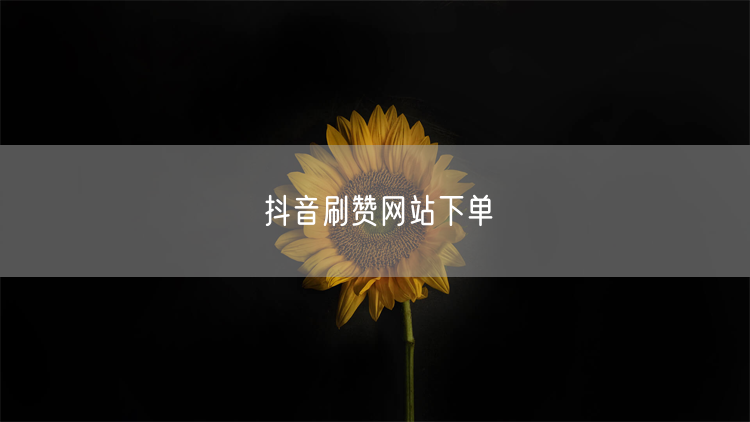 抖音刷赞网站下单