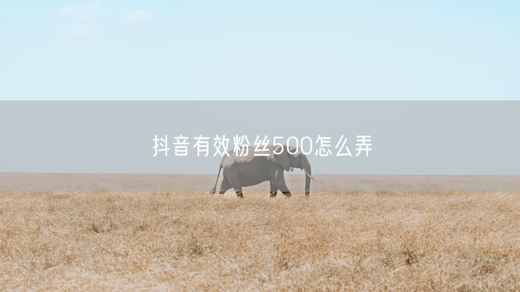 抖音有效粉丝500怎么弄