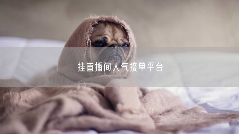 挂直播间人气接单平台
